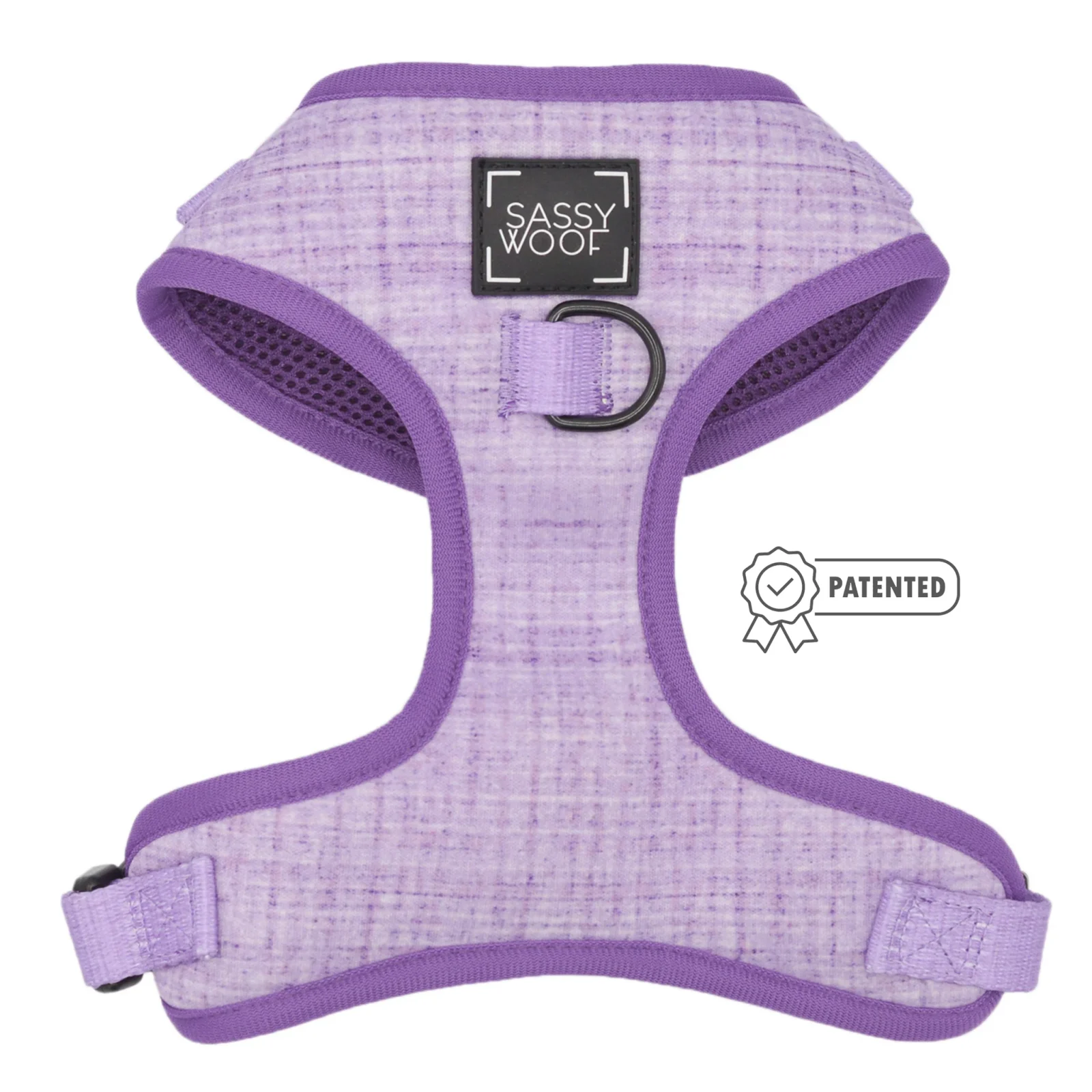 Dog Two Piece Bundle - Aurora - Image 2