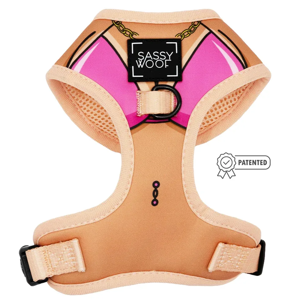Dog Two Piece Bundle - Bikini Bod - Image 2