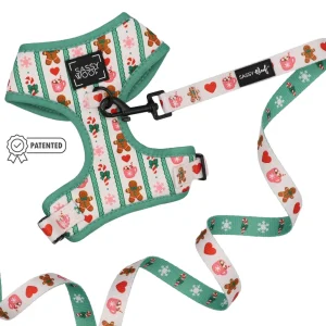 Dog Two Piece Bundle - Cocoa & Cookies