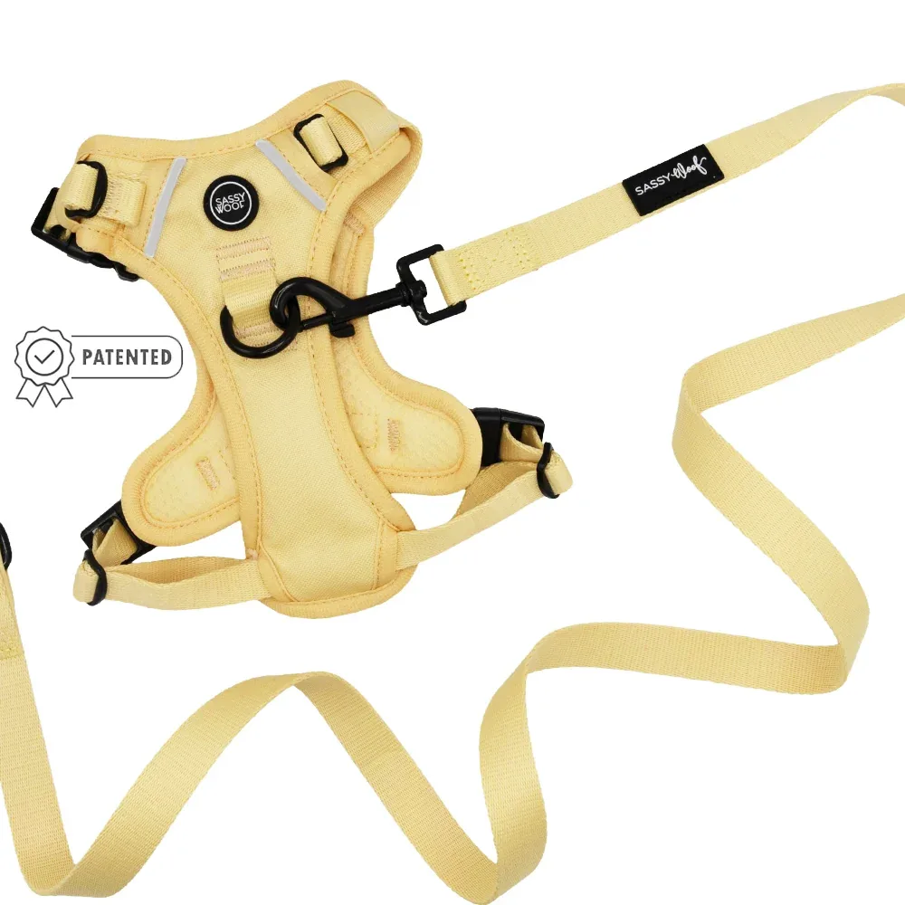 Dog Two Piece Bundle - Daffodil