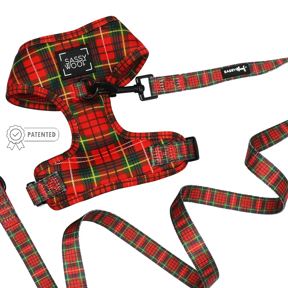 Dog Two Piece Bundle - Deck the Paws