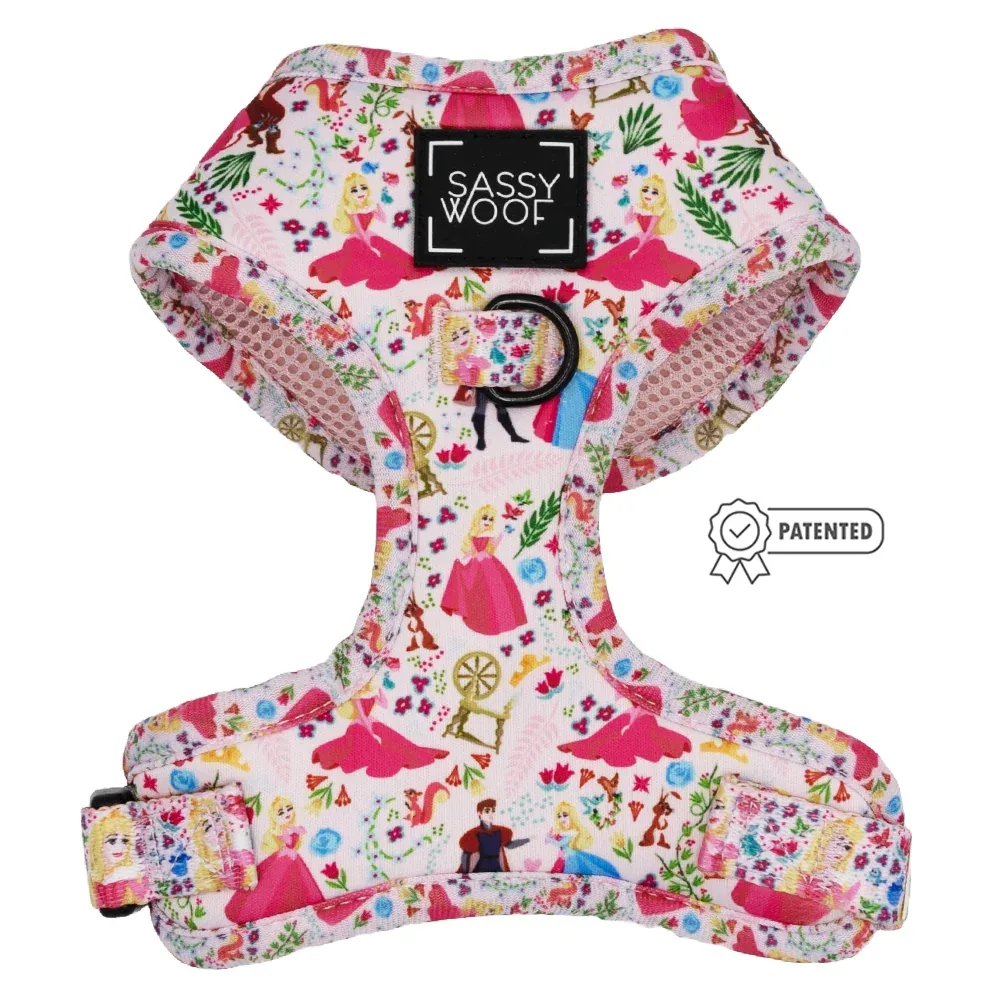Dog Two Piece Bundle - Disney's Aurora - Image 2