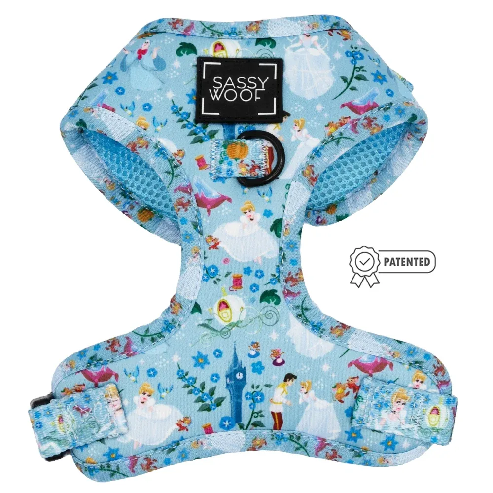 Dog Two Piece Bundle - Disney's Cinderella - Image 2