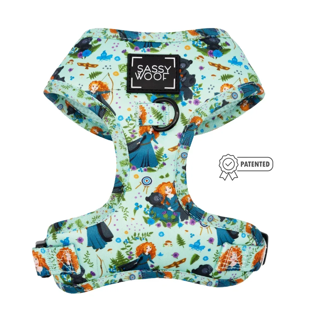 Dog Two Piece Bundle - Disney's Merida - Image 2