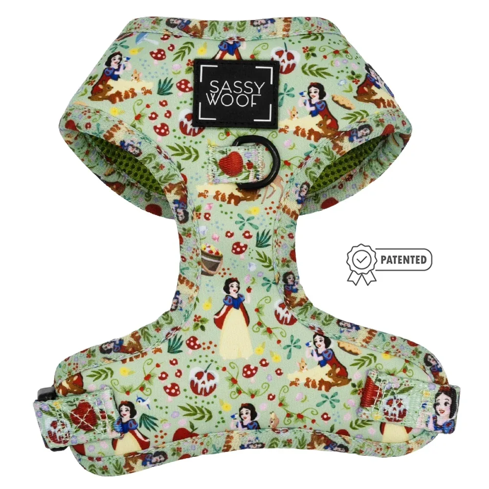 Dog Two Piece Bundle - Disney's Snow White - Image 2