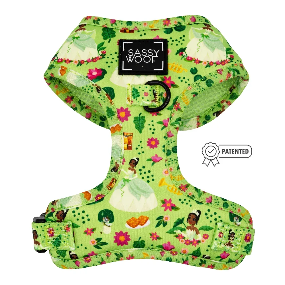 Dog Two Piece Bundle - Disney's Tiana - Image 2