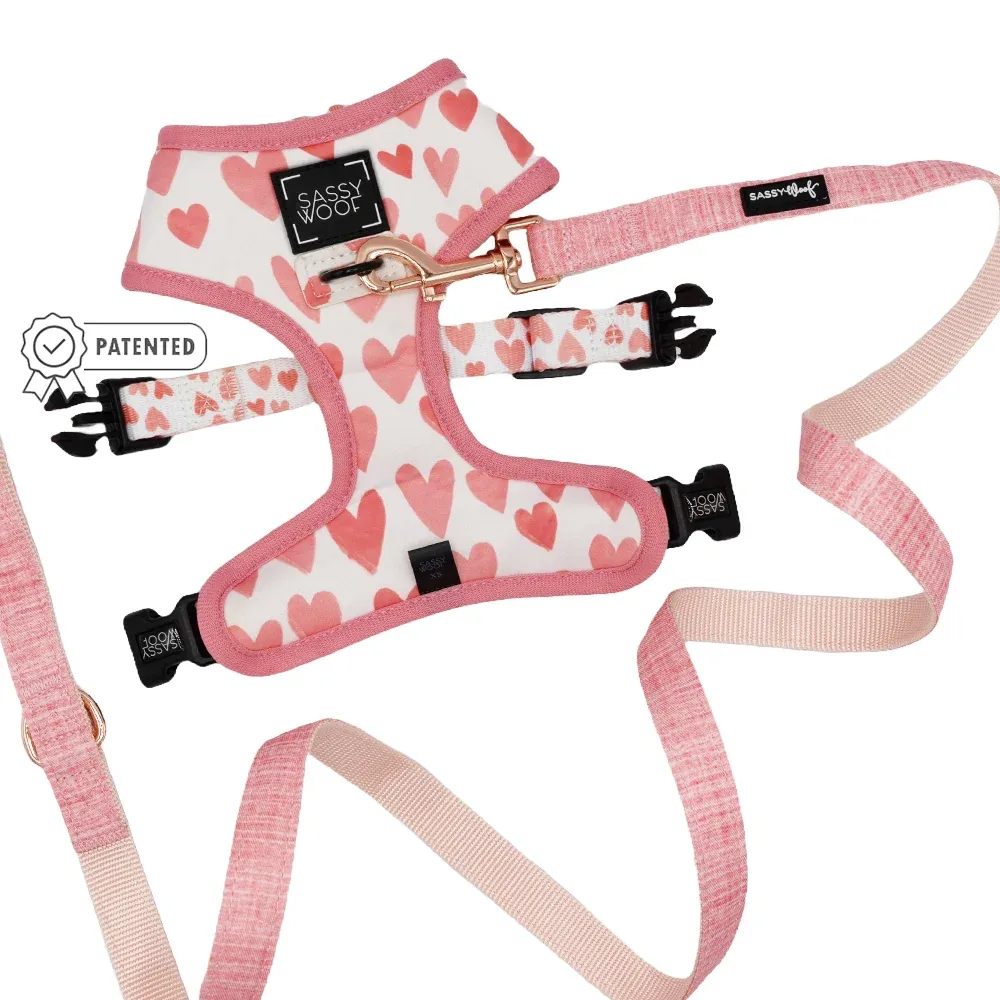 Dog Two Piece Bundle - Dolce Rose - Image 2