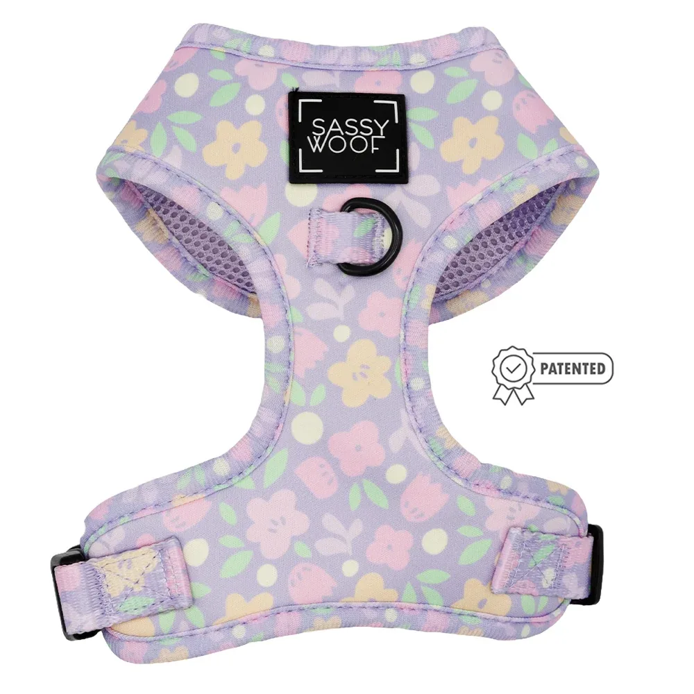 Dog Two Piece Bundle - Fleur de Sass - Image 2