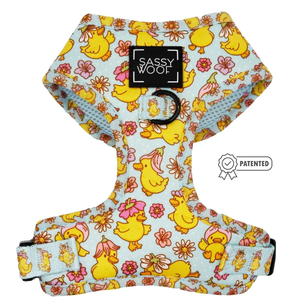 Dog Two Piece Bundle - Good Duck, Babe! - Image 2