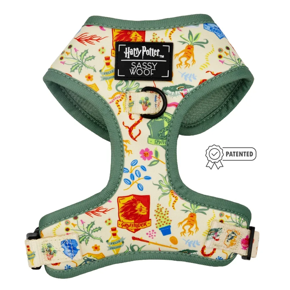 Dog Two Piece Bundle - Harry Potter™ Herbology - Image 2