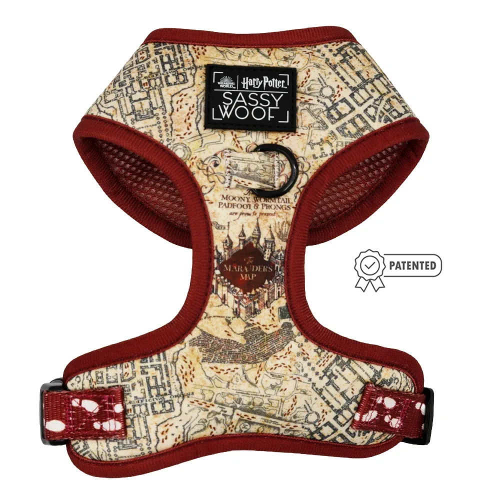 Dog Two Piece Bundle - Harry Potter™ Marauder's Map™ - Image 2