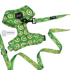 Dog Two Piece Bundle - Kiwi Krazy