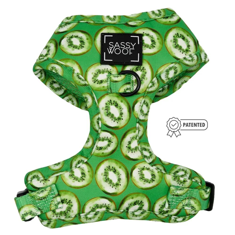 Dog Two Piece Bundle - Kiwi Krazy - Image 2