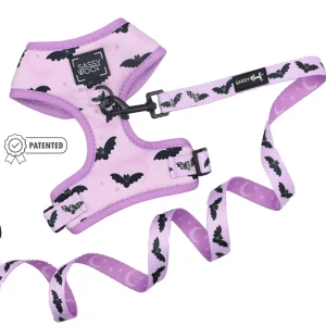 Dog Two Piece Bundle - Lil Batty