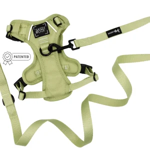 Dog Two Piece Bundle - Matcha