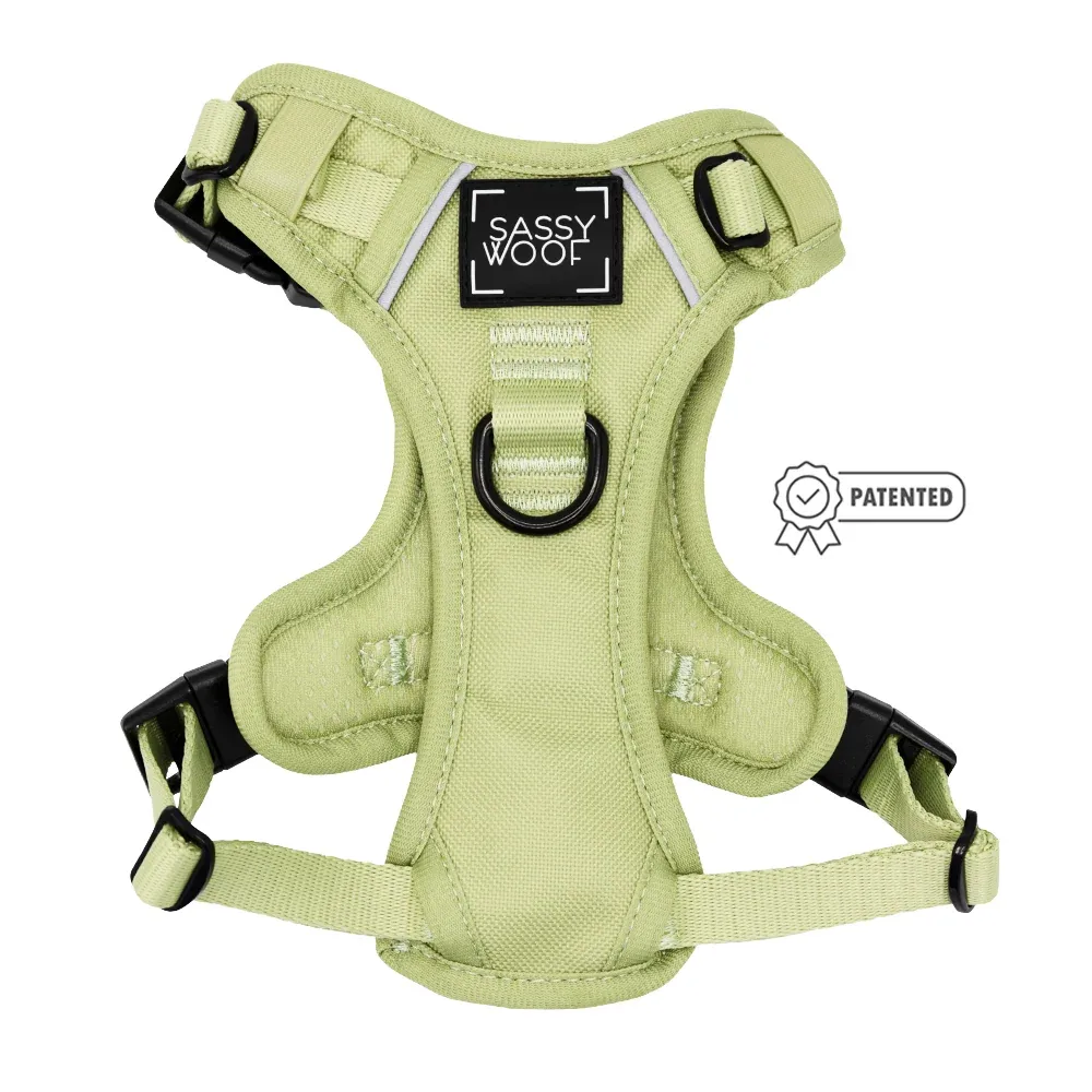 Dog Two Piece Bundle - Matcha - Image 2