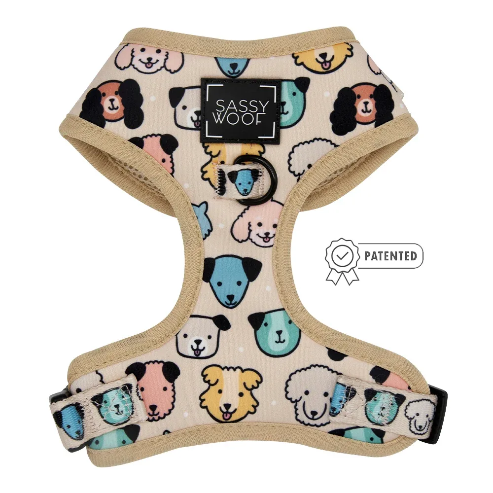 Dog Two Piece Bundle - Mixed With Love - Image 2