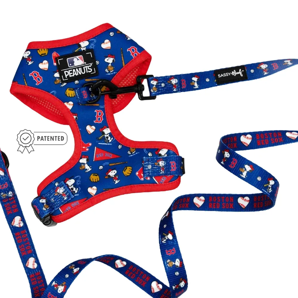 Dog Two Piece Bundle - MLB™ x Peanuts™ Boston Red Sox™