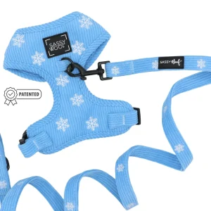 Dog Two Piece Bundle - Morning Frost