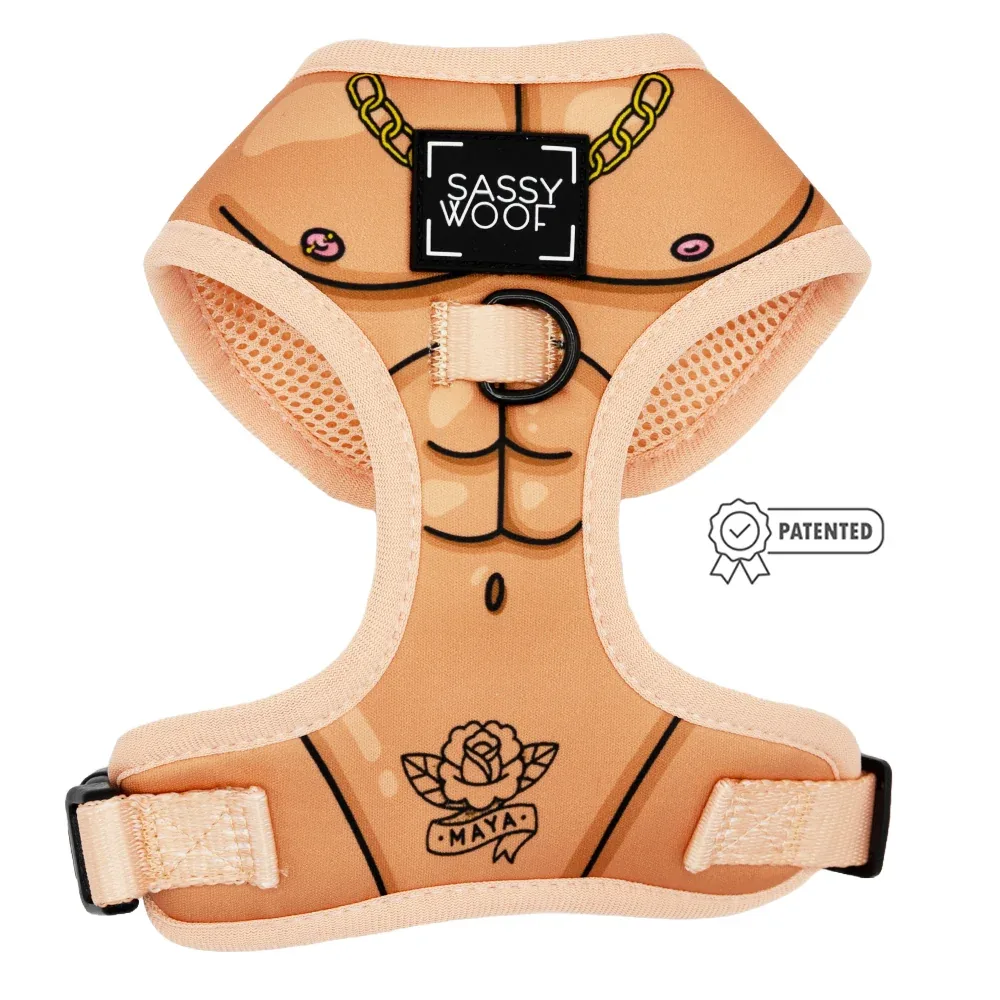 Dog Two Piece Bundle - Muscle Bod - Image 2