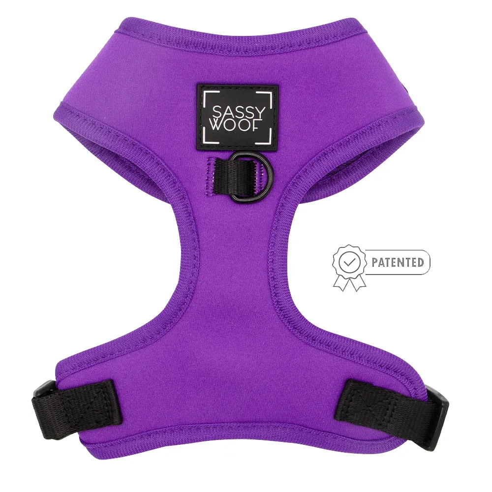 Dog Two Piece Bundle - Neon Purple - Image 2