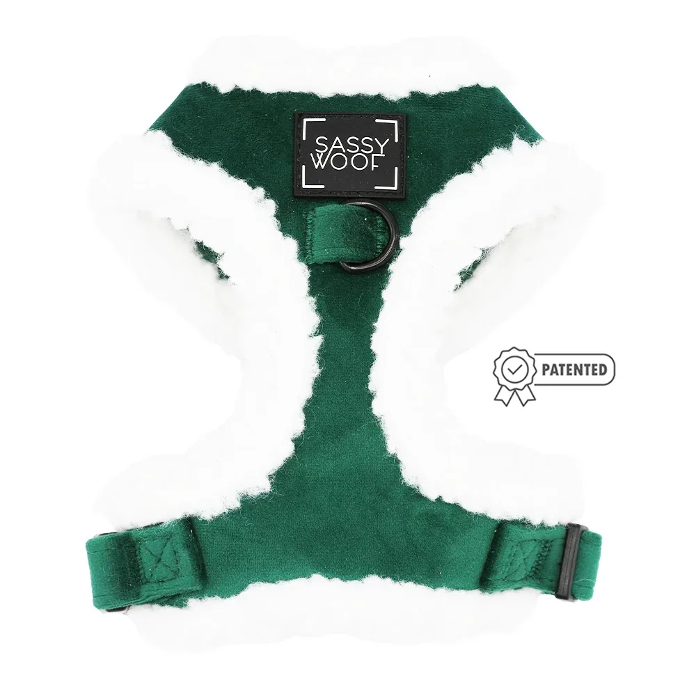Dog Two Piece Bundle - Nice - Image 2