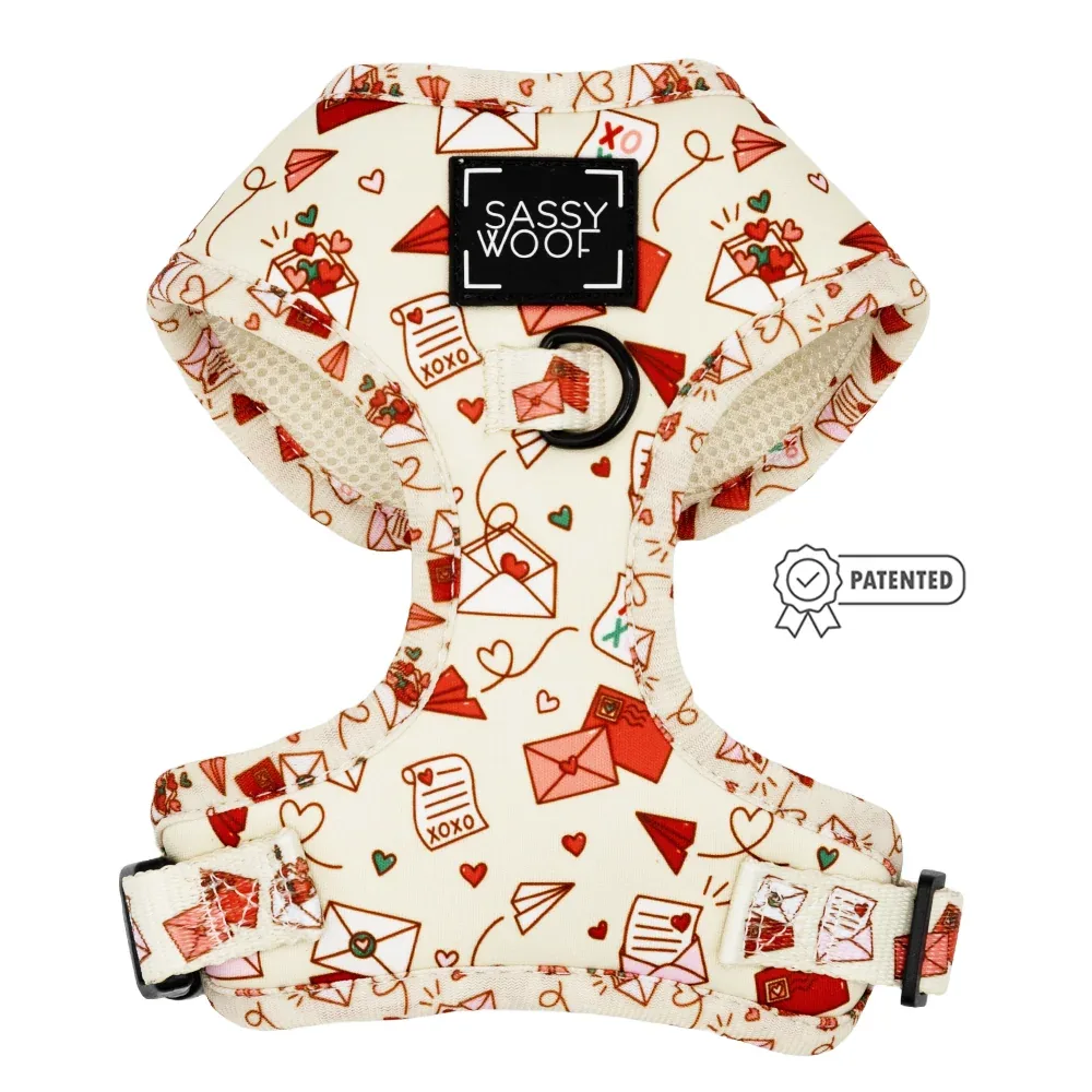 Dog Two Piece Bundle - P.S. I Woof You - Image 2