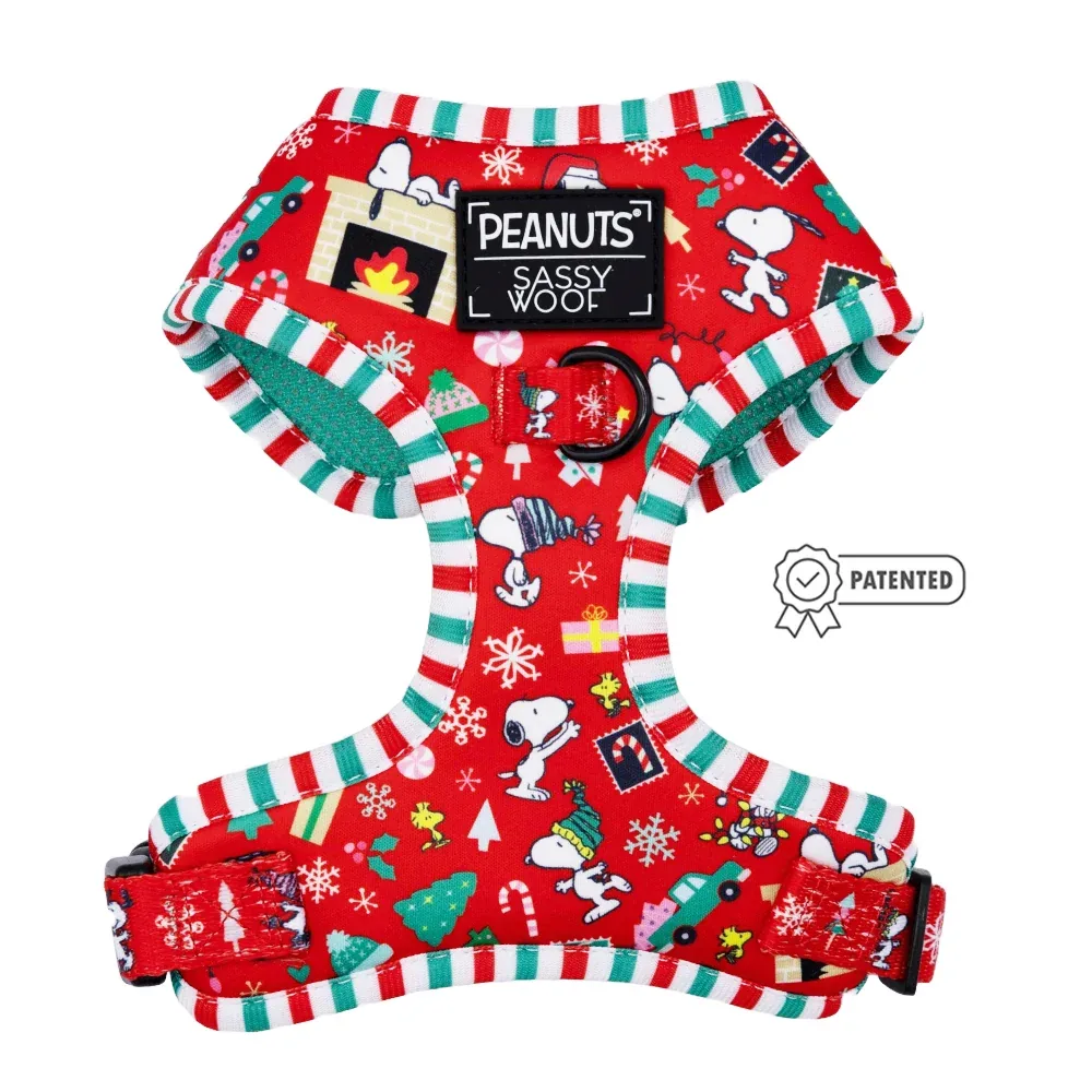 Dog Two Piece Bundle - Peanuts™ Beagle Bells - Image 2