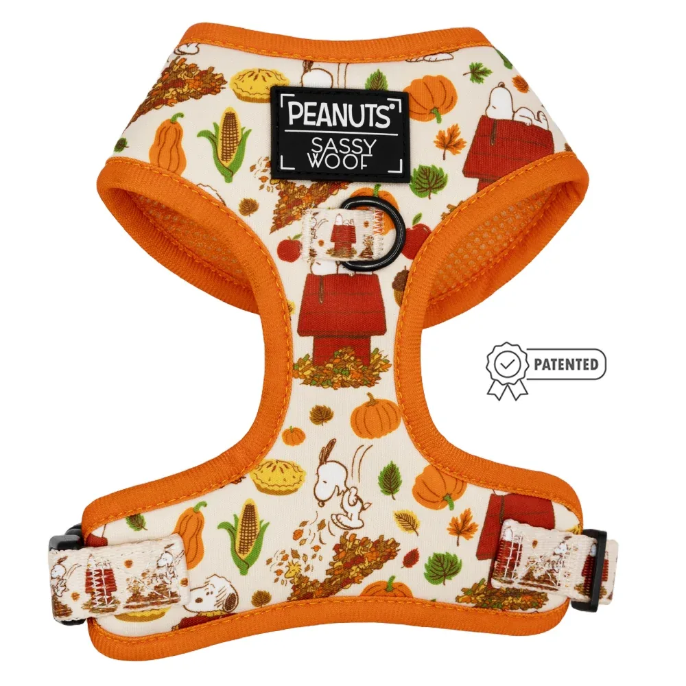Dog Two Piece Bundle - Peanuts™ Harvest - Image 2