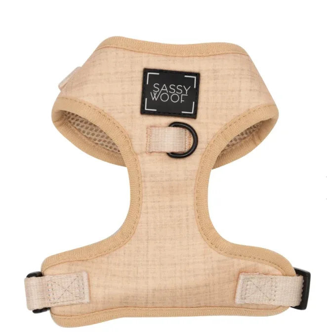 Dog Two Piece Bundle - Pinot - Image 2