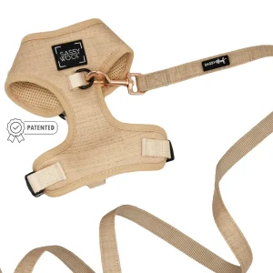 Dog Two Piece Bundle - Pinot