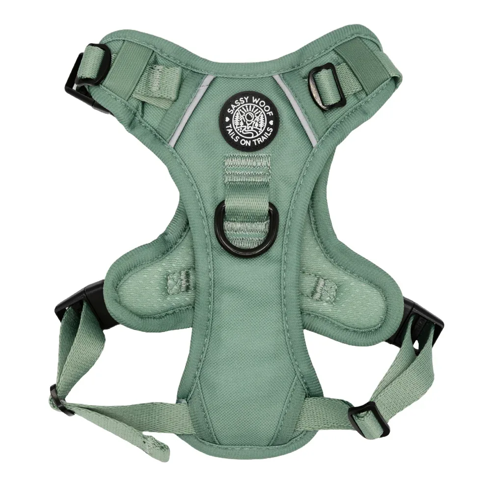 Dog Two Piece Bundle - Sage - Image 2