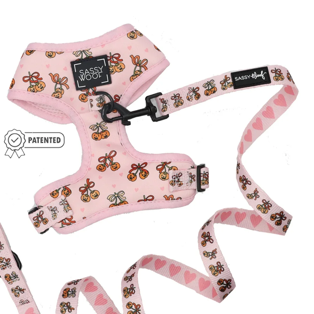 Dog Two Piece Bundle - Sassy Lil Pumpkins