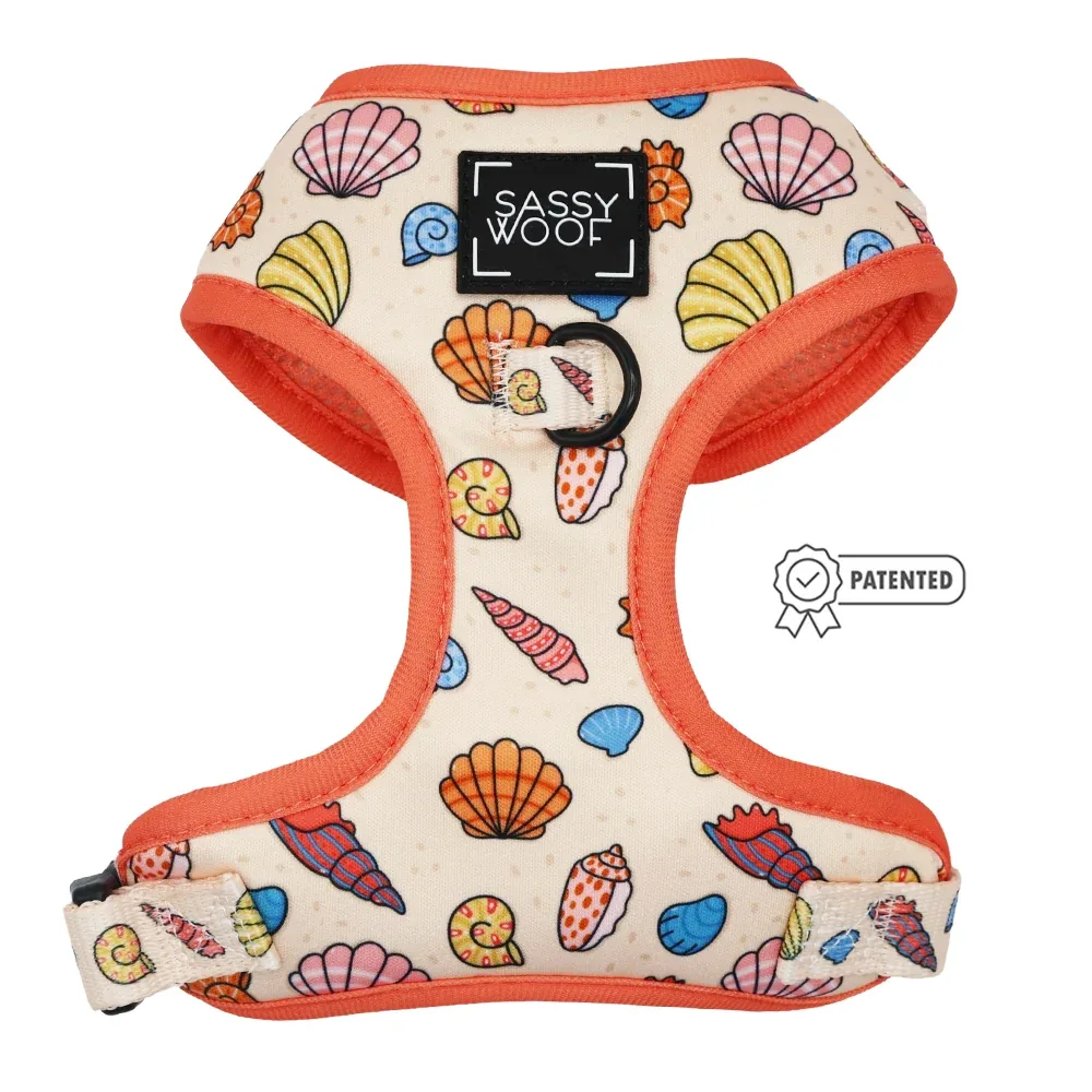 Dog Two Piece Bundle - Shell Yeah - Image 2