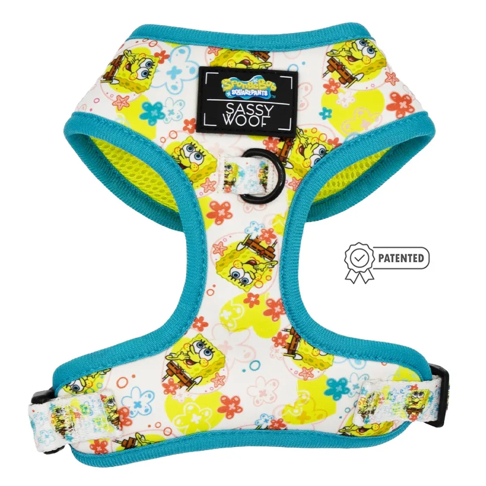 Dog Two Piece Bundle - SpongeBob SquarePants™ Bikini Bottom - Image 2
