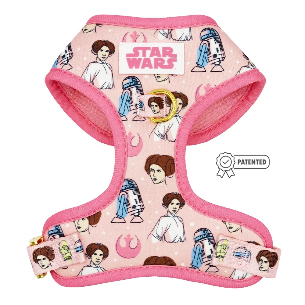 Dog Two Piece Bundle - STAR WARS™ Princess Leia - Image 2