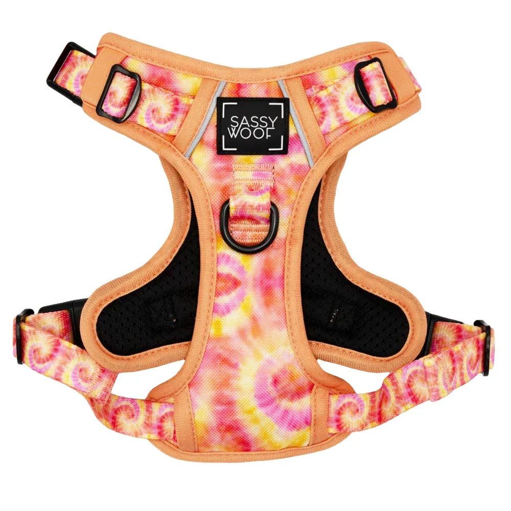 Dog Two Piece Bundle - Summer Sorbet - Image 2