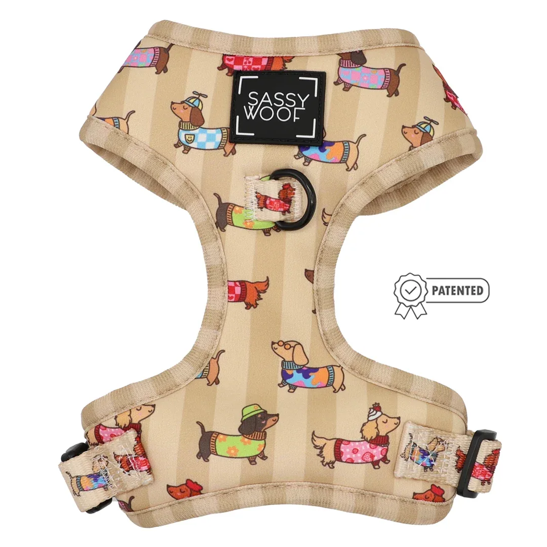 Dog Two Piece Bundle - Sunbean - Image 2