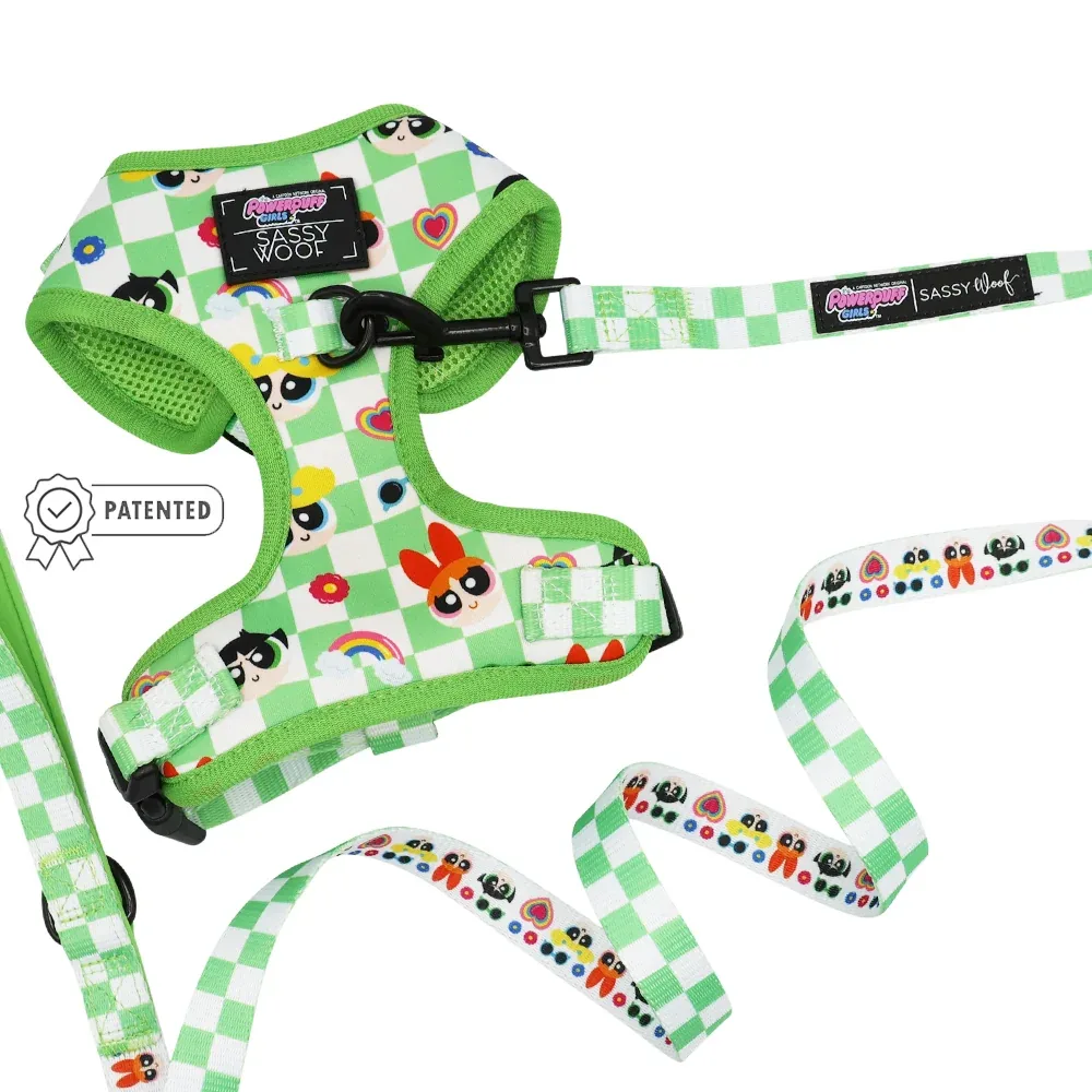 Dog Two Piece Bundle - The Powerpuff Girls™ (Green)