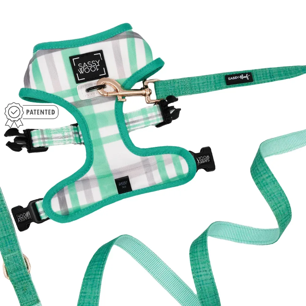 Dog Two Piece Bundle - Wag Your Teal - Image 2