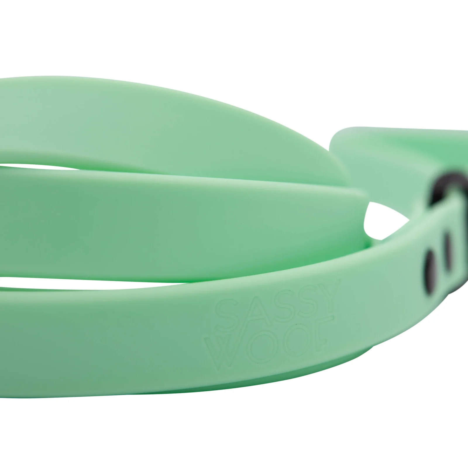 Dog Waterproof Leash - Green - Image 2