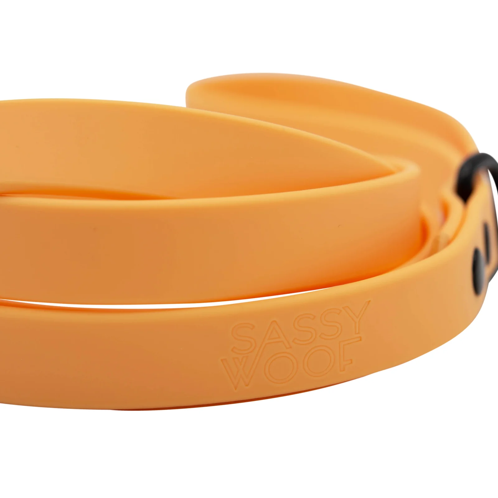 Dog Waterproof Leash - Orange - Image 2