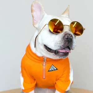 DOGGO STREET MARKET | All Canine Gear Pullover