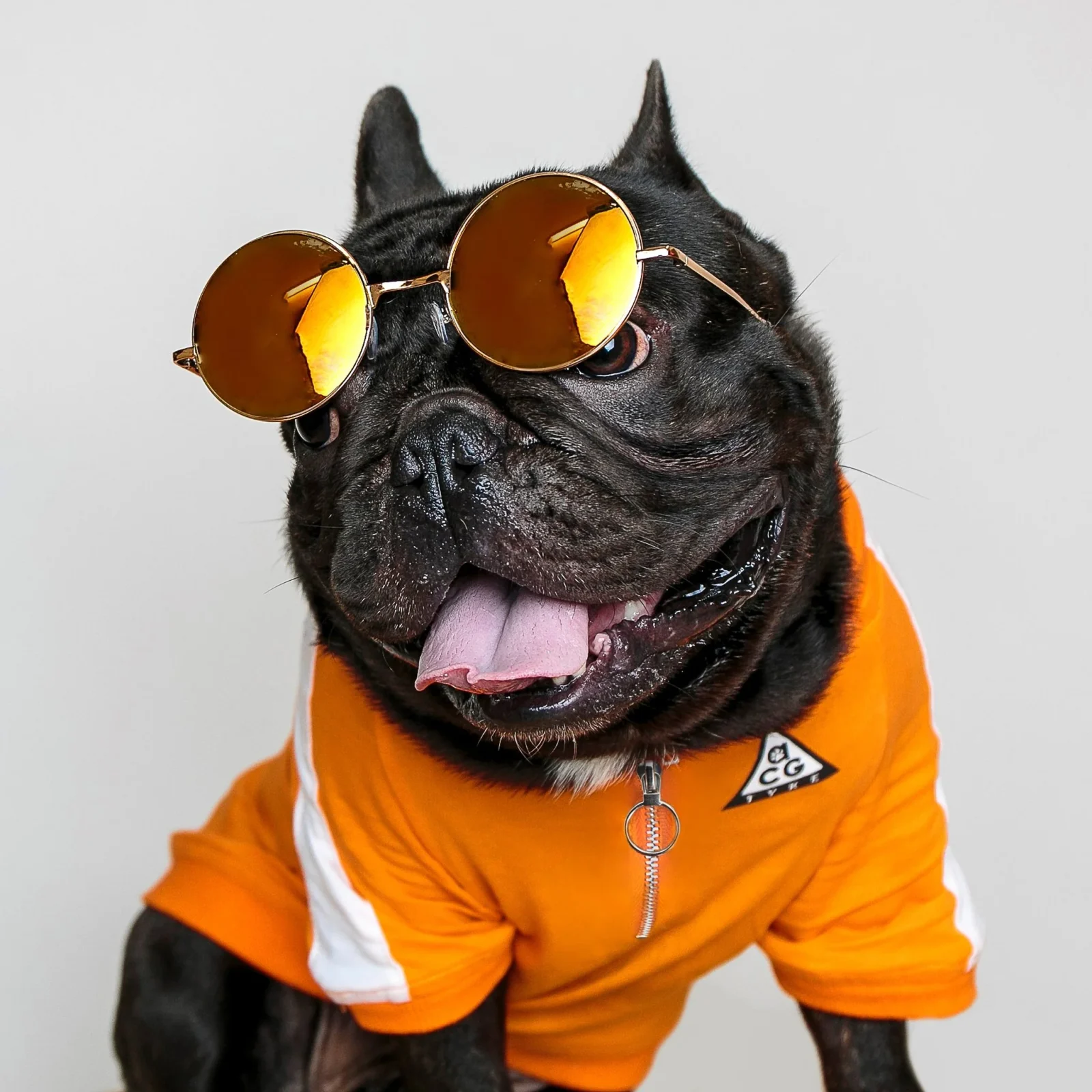 DOGGO STREET MARKET | All Canine Gear Pullover - Image 2