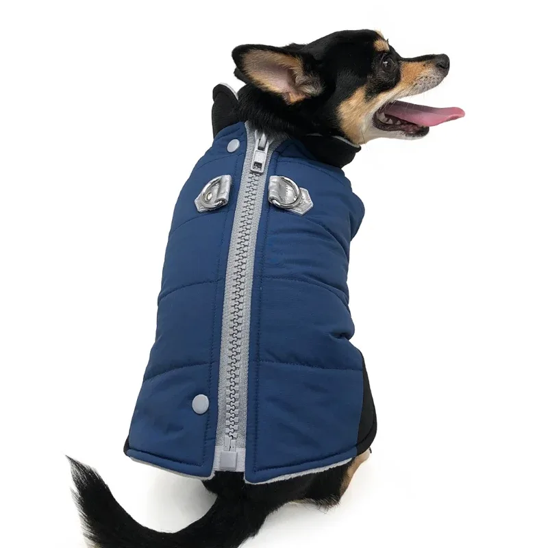 DOGO | Urban Runner Coat in Navy - Image 2