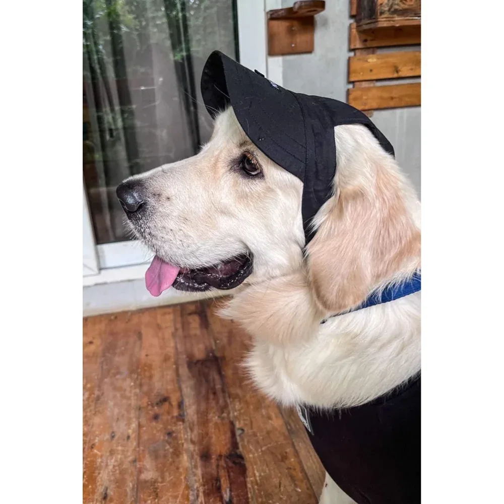 Dogobow Baseball Cap for Dogs (Black) (Get a Bow Free)