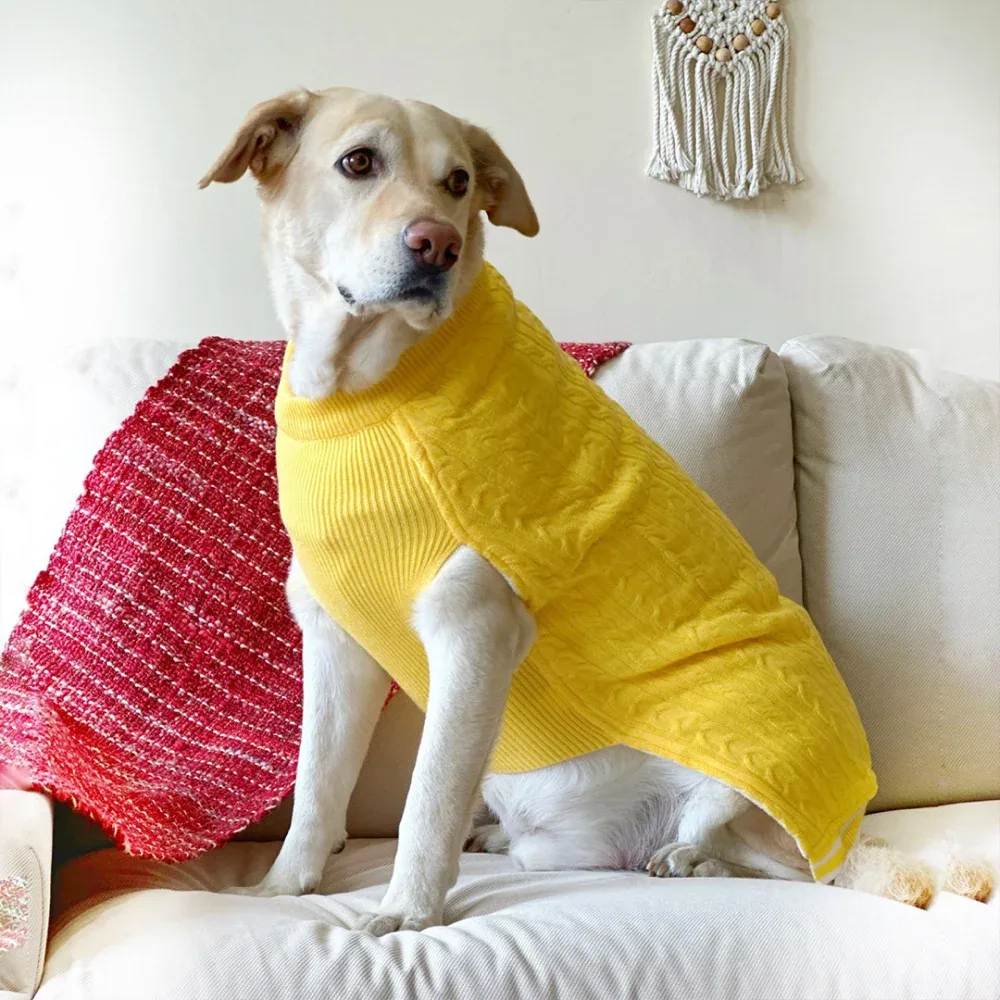 Dogobow Sun Kissed Knit Sweater for Dogs and Cats (Yellow) (Get a Bow Free) - Image 2