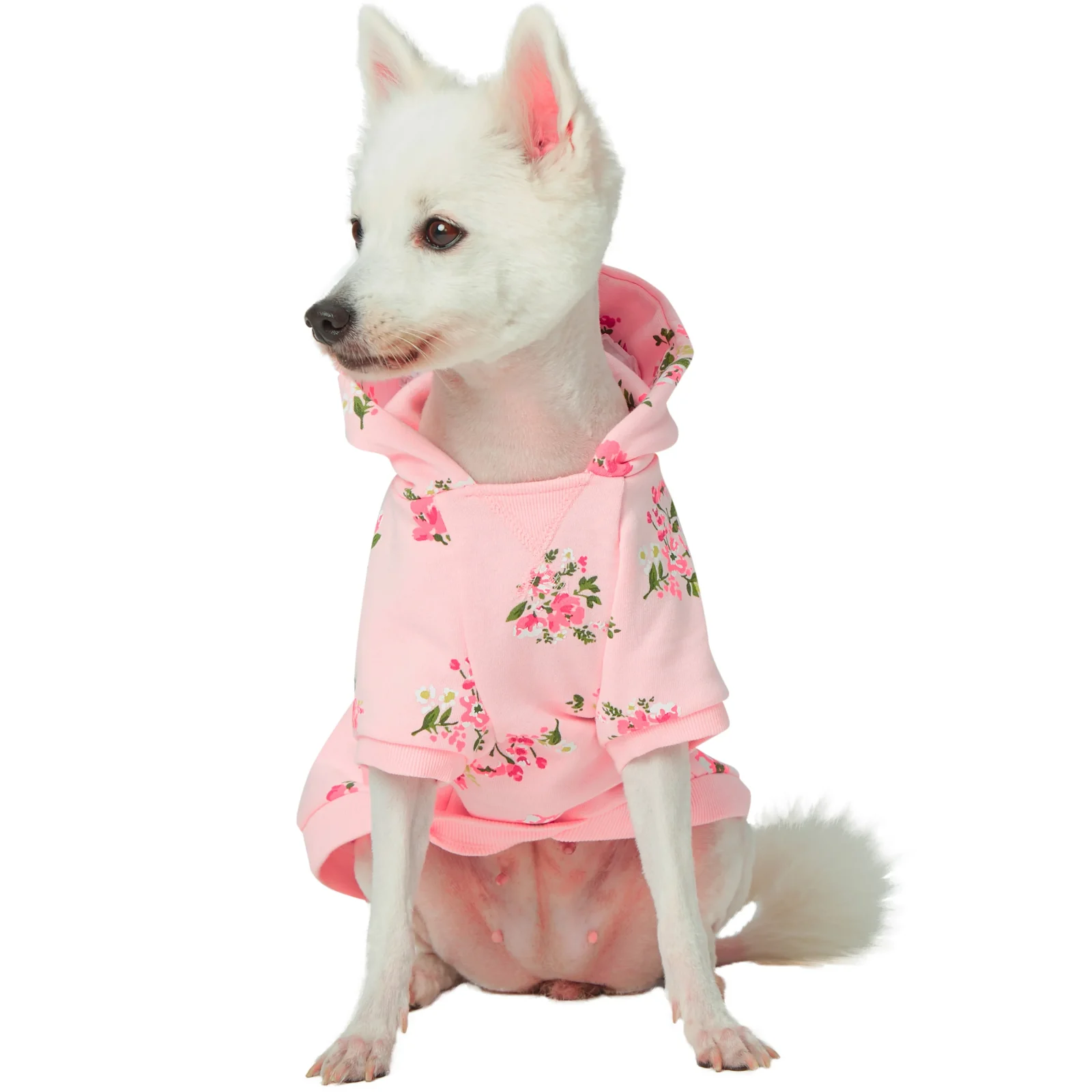 DOGS & CATS & CO. | Floral Sweatshirt in Pink - Image 2