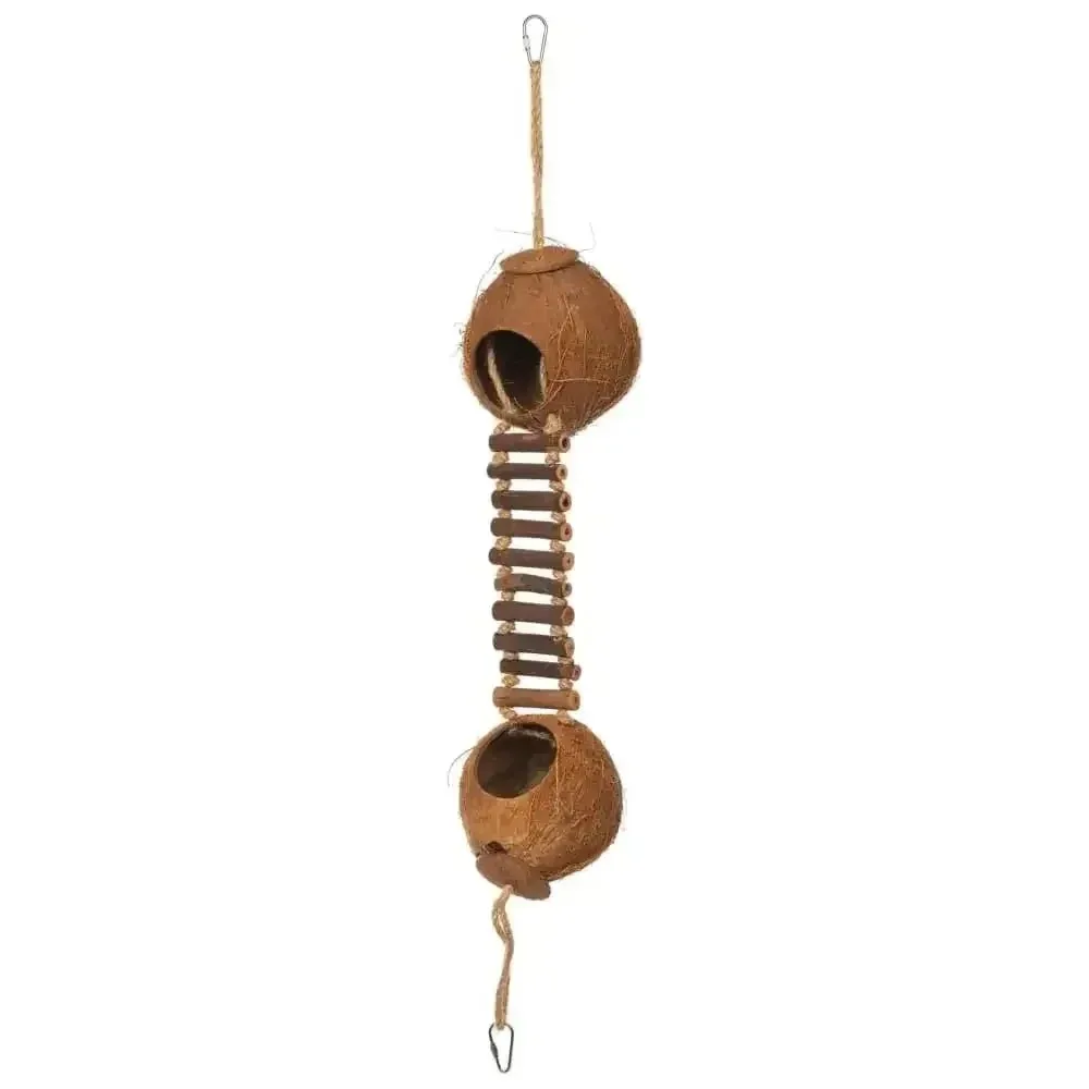 Double Coconut w/ Ladder