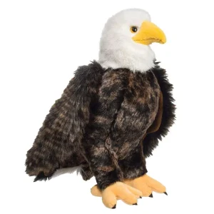 Douglas Adler Bald Eagle